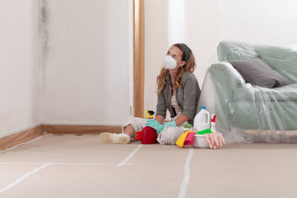 Reliable Mold Testing contractor in Comstock Park, MI by WQB Mold Removal