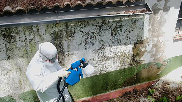 Top rated local Mold Testing specialists in Comstock Park, MI